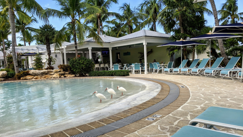 Resort Packages in Middle Keys, FL