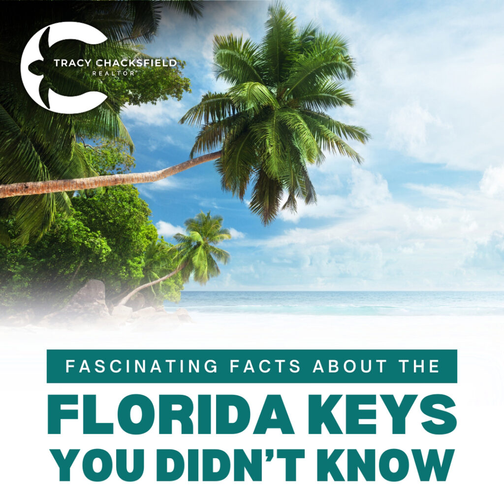 20 Fascinating Facts About the Florida Keys You Didn’t Know featured image